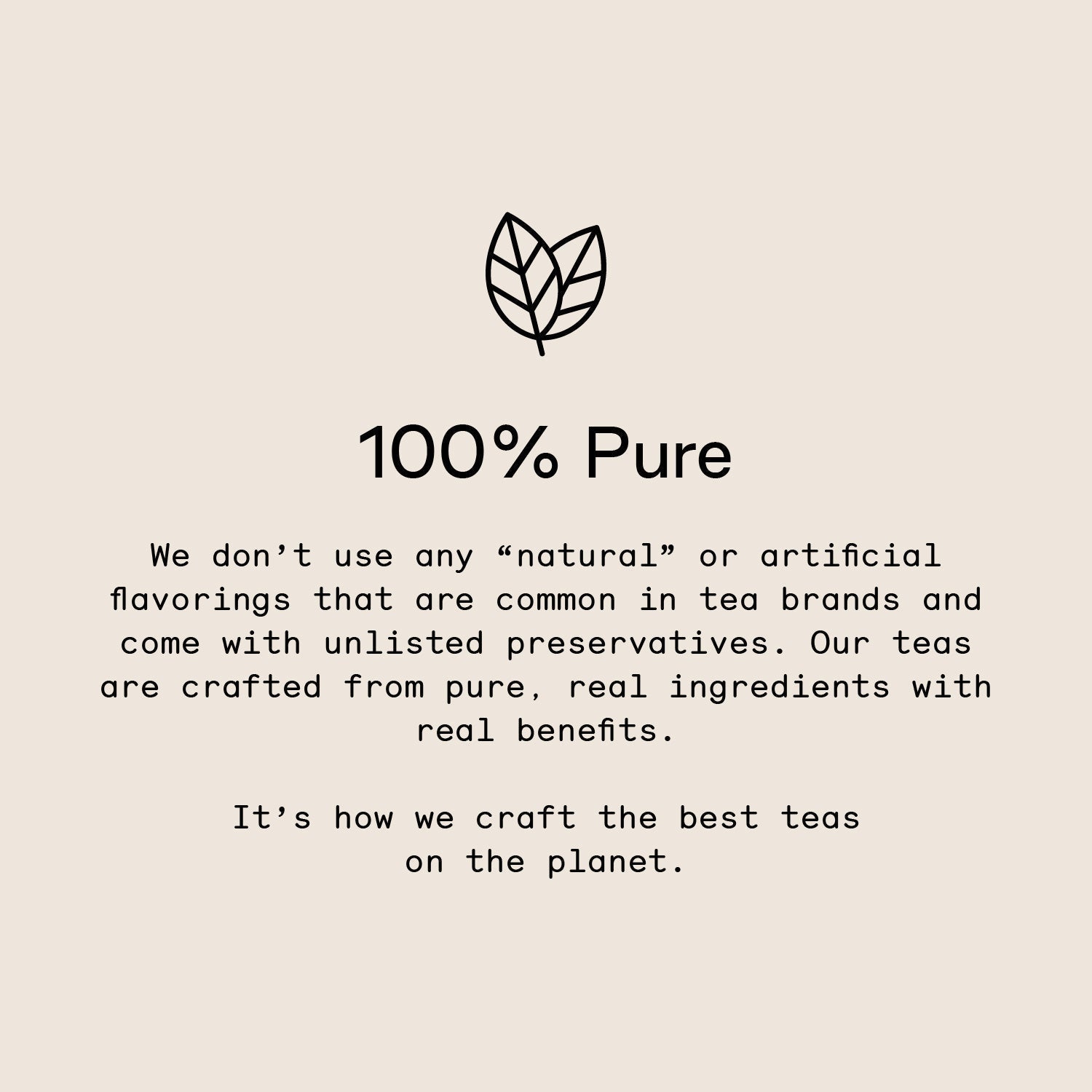 All Matcha